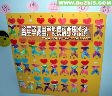 这是民间出名的食药兼用植物,喜生于稻田,农民很少不认识它!|星空官网(图2) 星空体育app登录