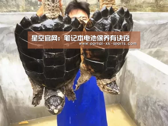 星空体育app登录