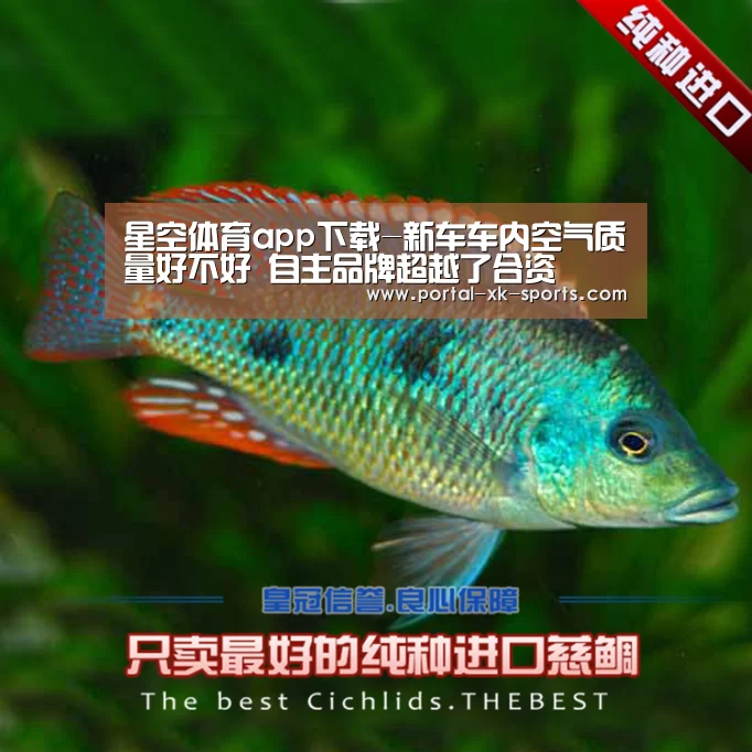 星空体育app登录