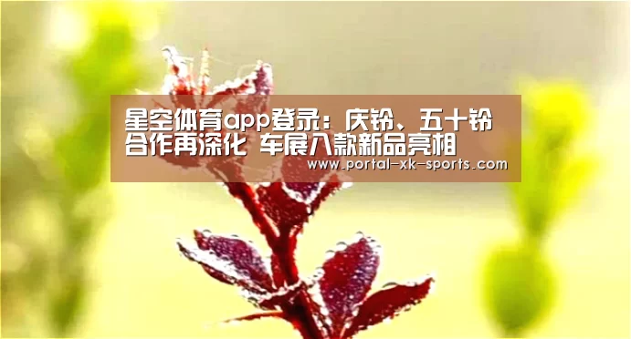 星空体育app登录:庆铃、五十铃合作再深化 车展八款新品亮相(图4) 星空体育app登录
