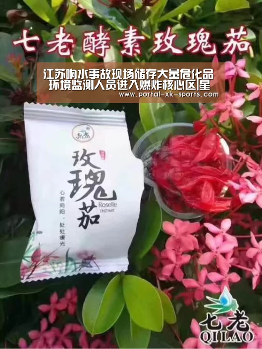 江苏响水事故现场储存大量危化品 环境监测人员进入爆炸核心区|星空体育入口(图1) 星空体育app下载