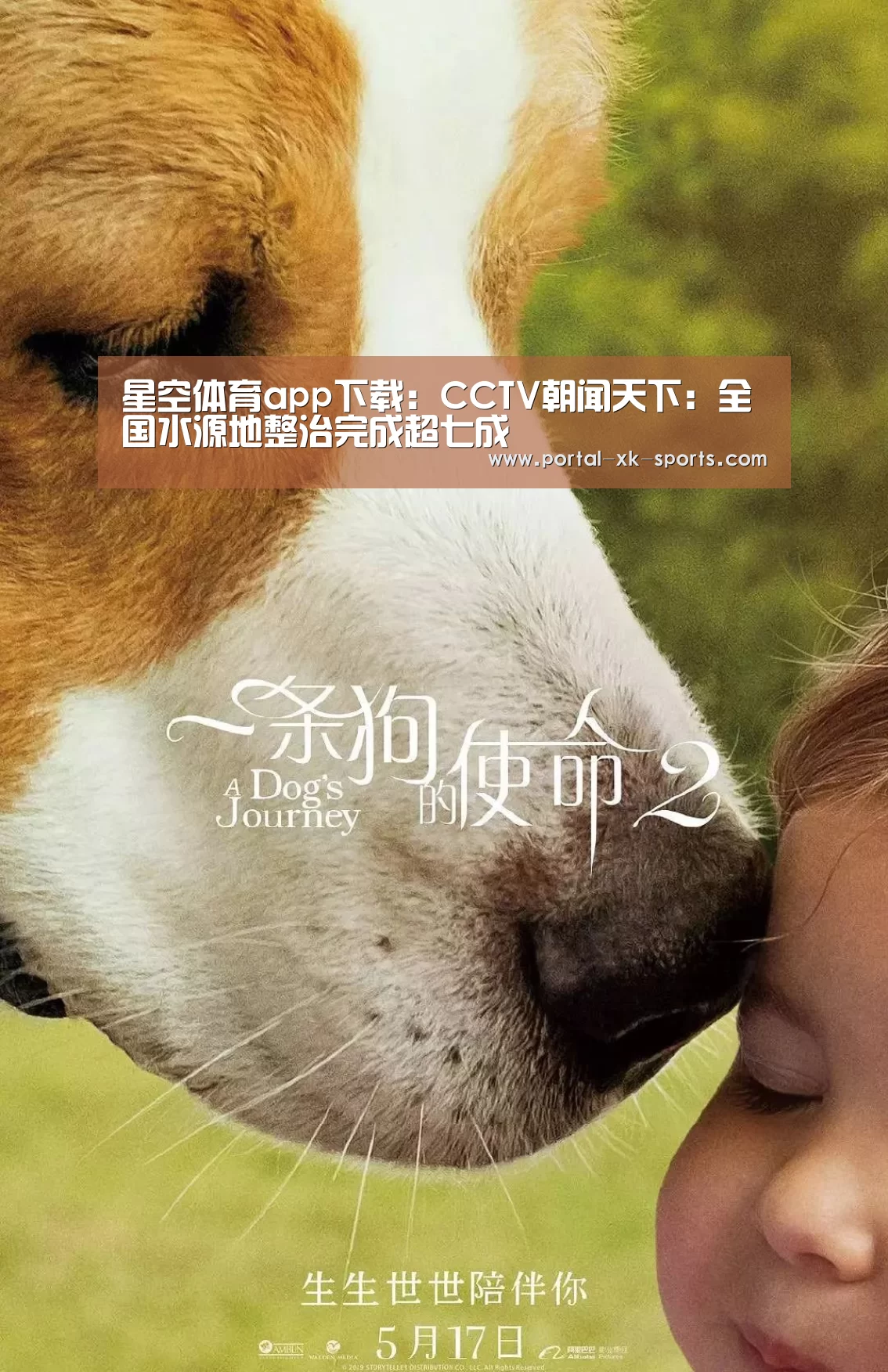 星空体育app下载：CCTV朝闻天下：全国水源地整治完成超七