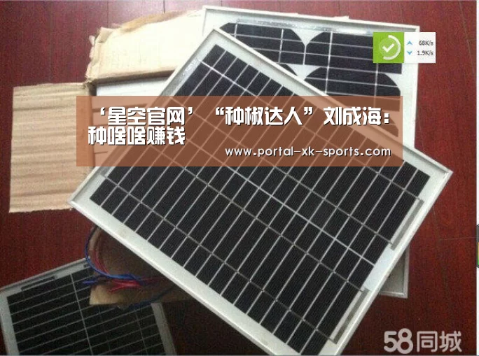 ‘星空官网’“种椒达人”刘成海：种啥啥赚钱