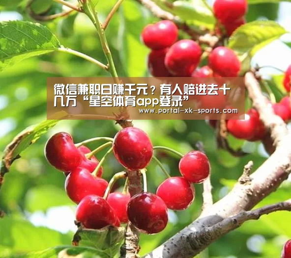 星空体育app登录