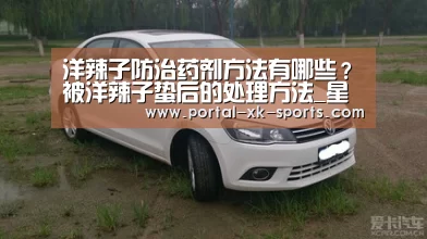 洋辣子防治药剂方法有哪些？被洋辣子蛰后的处理方法_星空体育a