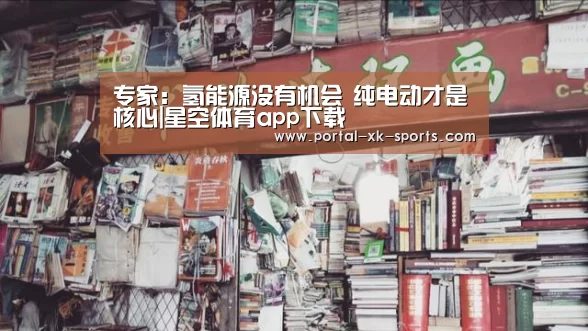 专家：氢能源没有机会 纯电动才是核心|星空体育app下载